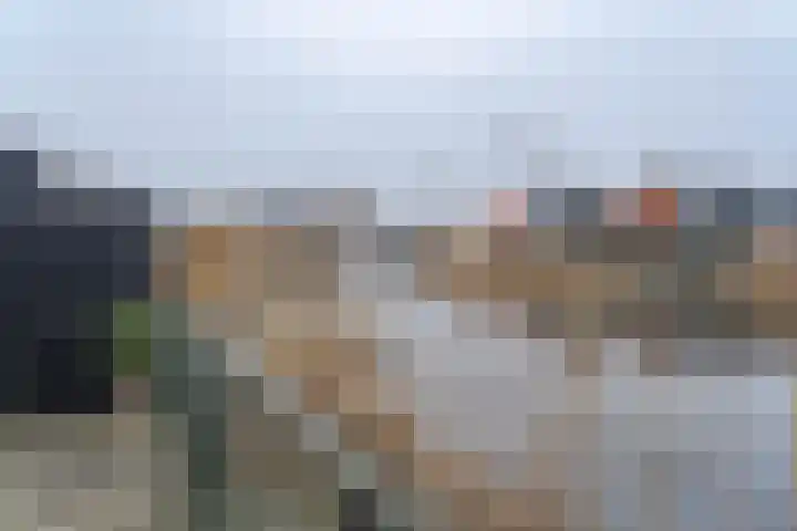 Brederodepeer 14 Boskoop thumbnail 12