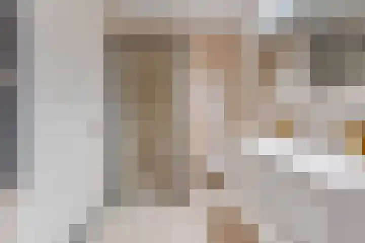 Brederodepeer 14 Boskoop thumbnail 23