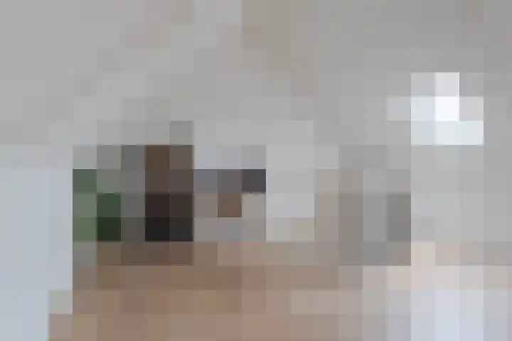 Brederodepeer 14 Boskoop thumbnail 25