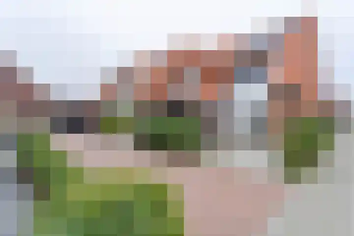 Brederodepeer 14 Boskoop thumbnail 27