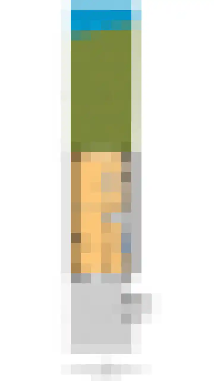 Brederodepeer 14 Boskoop thumbnail 28