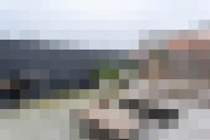 Brederodepeer 14 Boskoop thumbnail 9