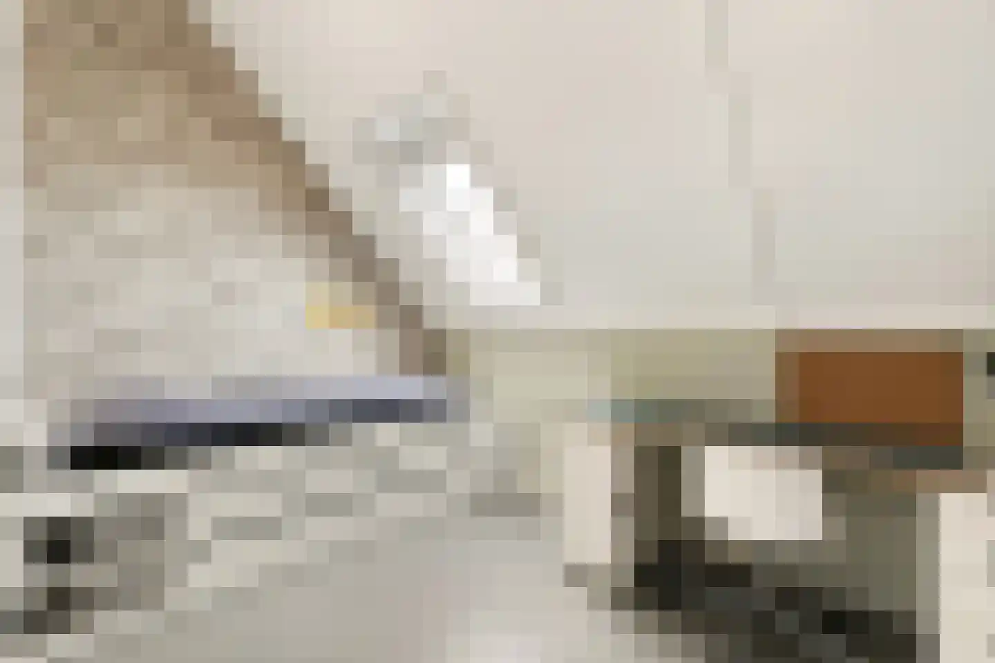 Brederodepeer 16 Boskoop thumbnail 11
