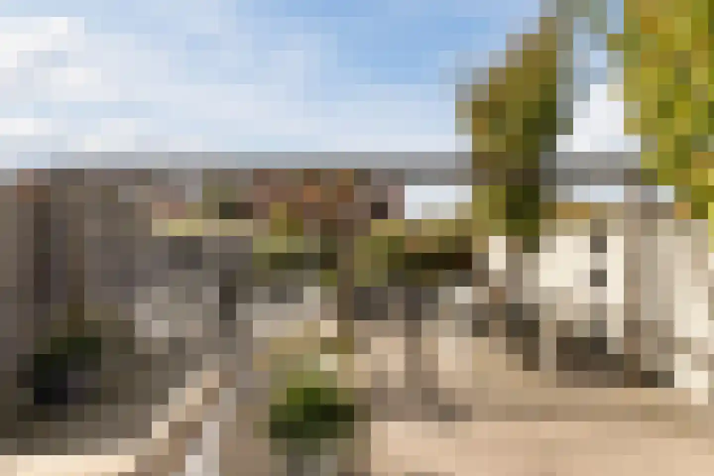 Brederodepeer 16 Boskoop thumbnail 12