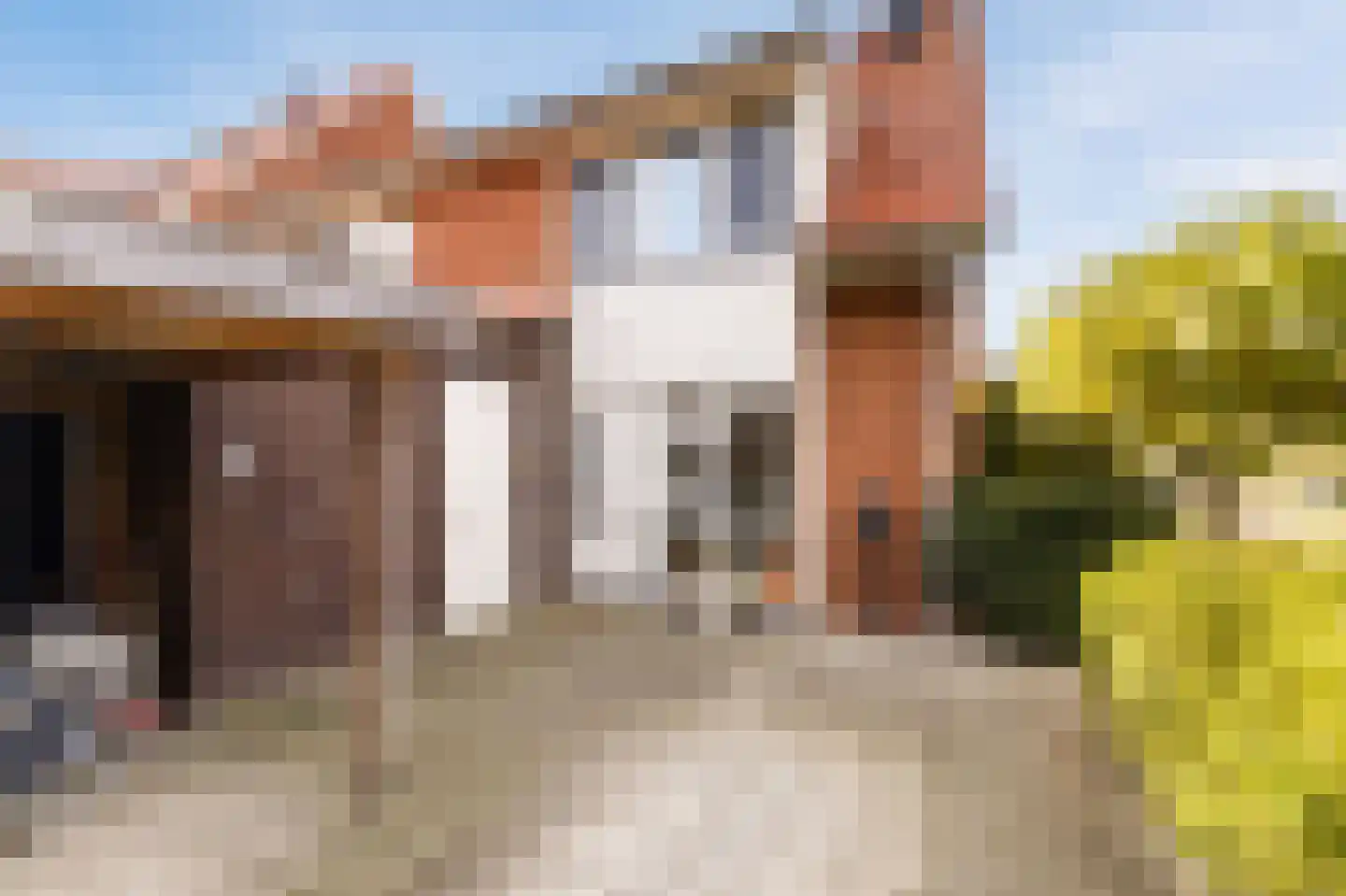 Brederodepeer 16 Boskoop thumbnail 14