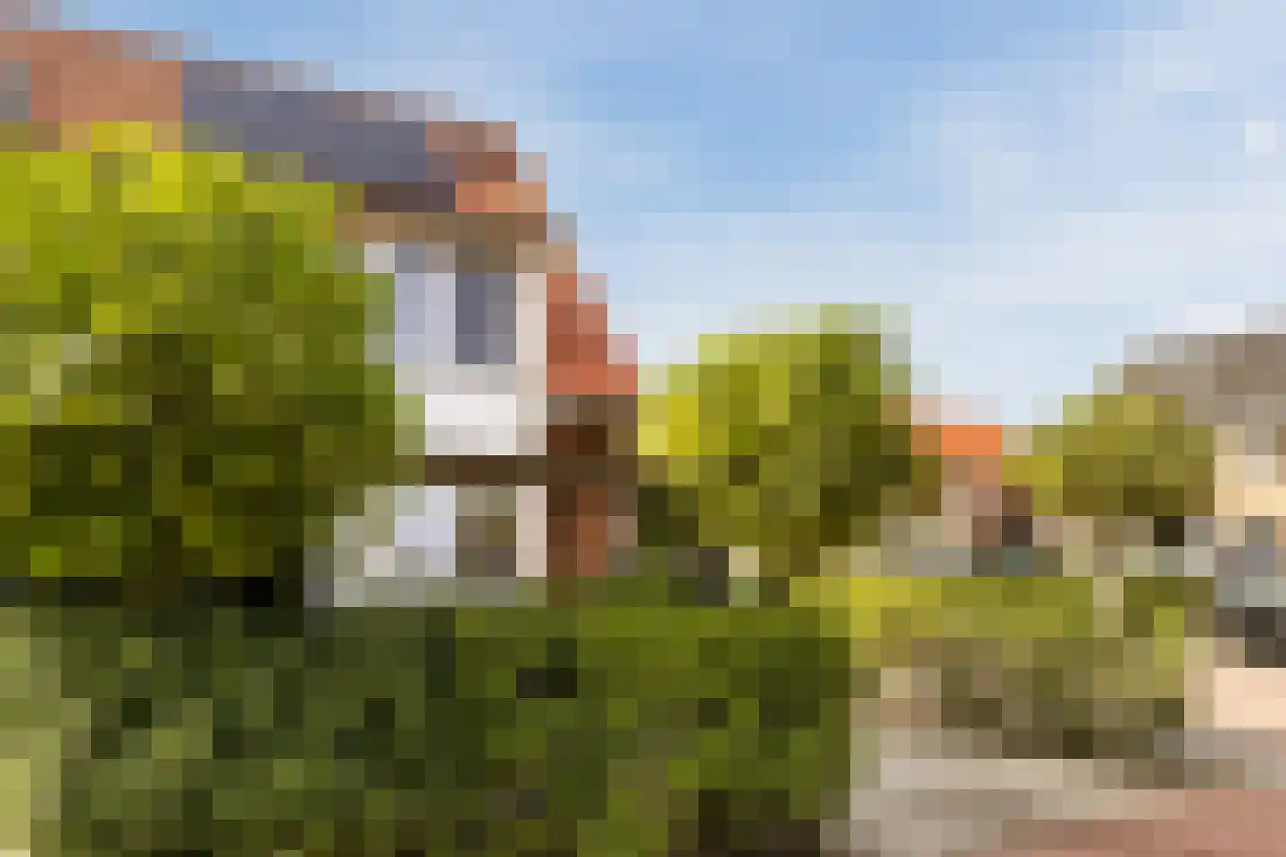 Brederodepeer 16 Boskoop thumbnail 16
