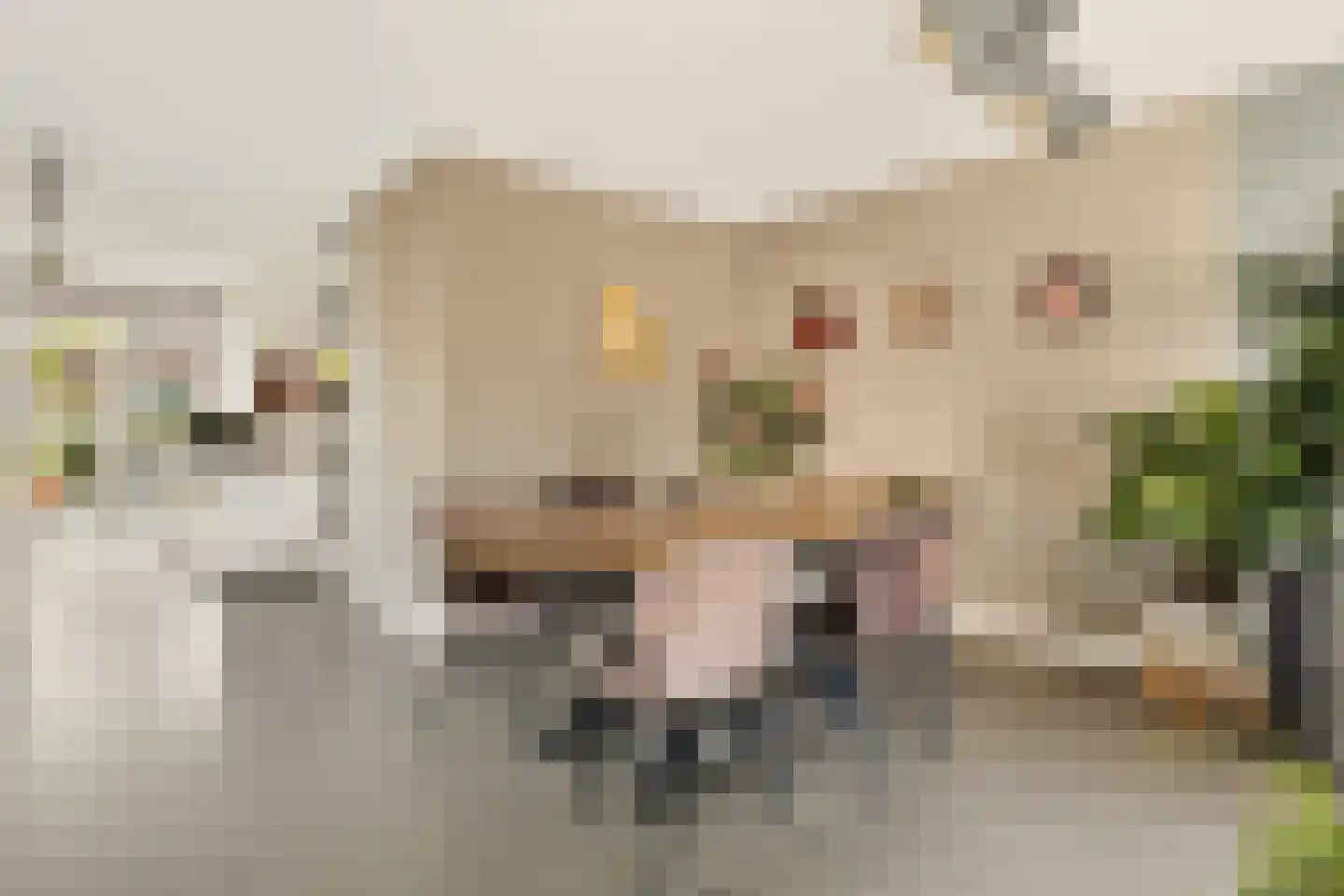 Brederodepeer 16 Boskoop thumbnail 18