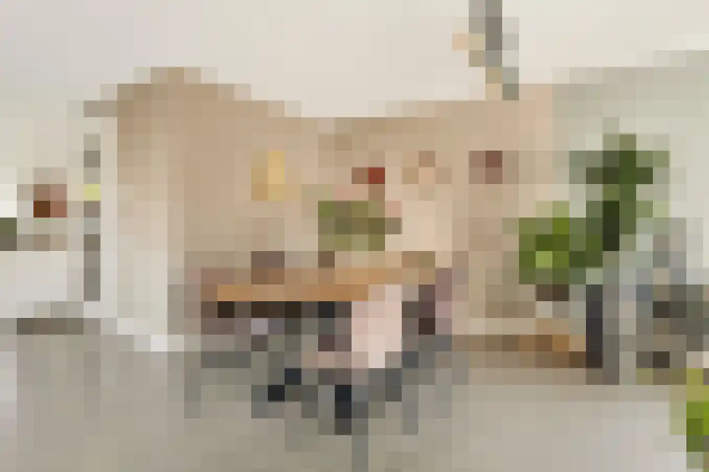 Brederodepeer 16 Boskoop thumbnail 19