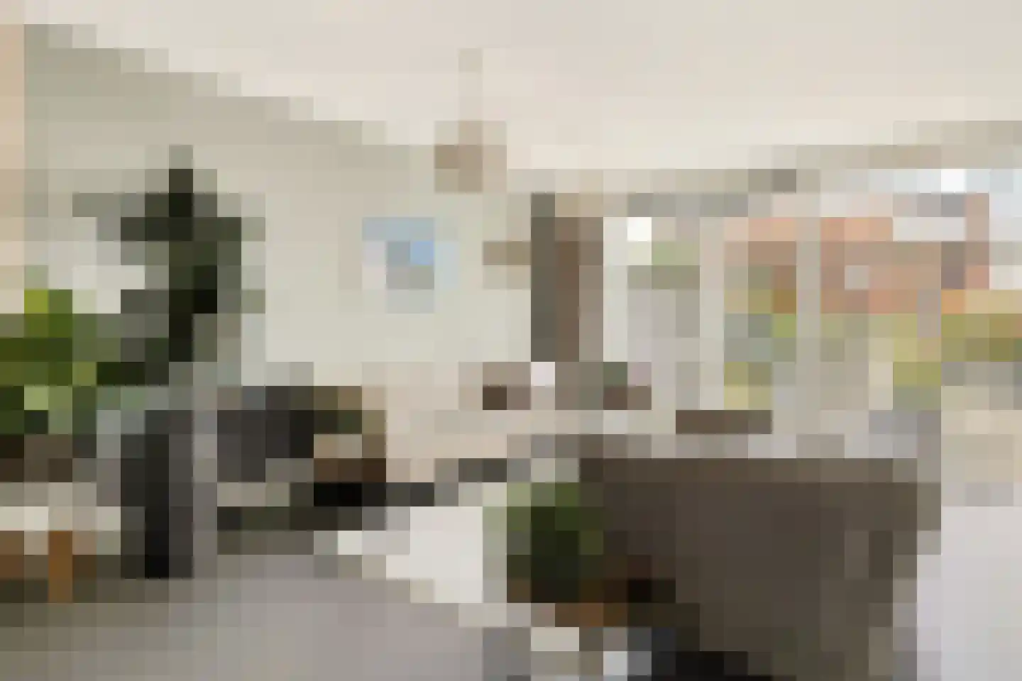 Brederodepeer 16 Boskoop thumbnail 27