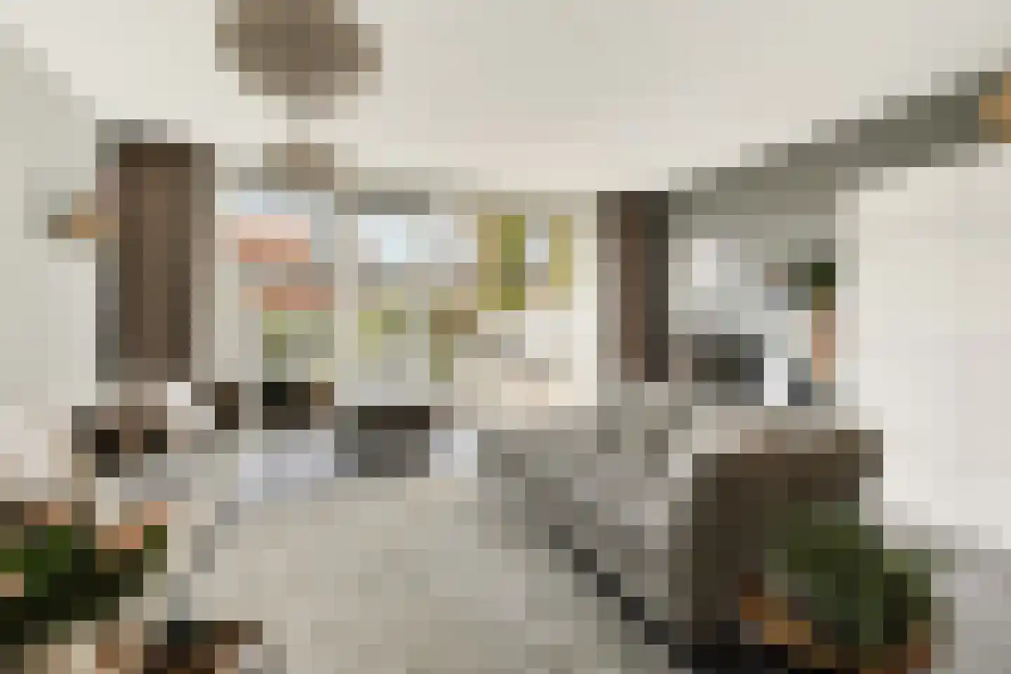 Brederodepeer 16 Boskoop thumbnail 28