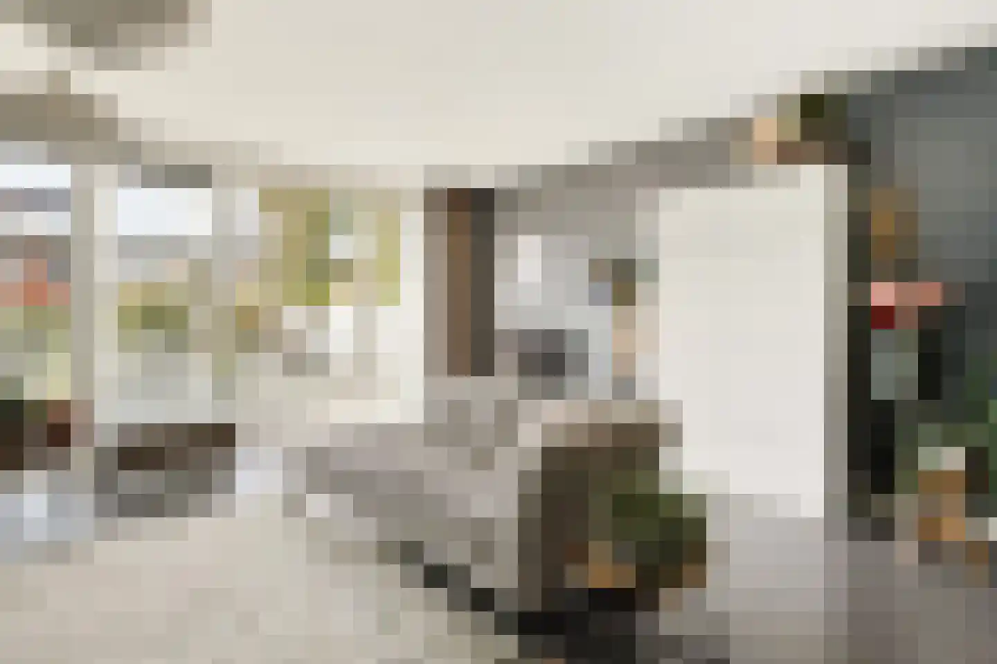 Brederodepeer 16 Boskoop thumbnail 29