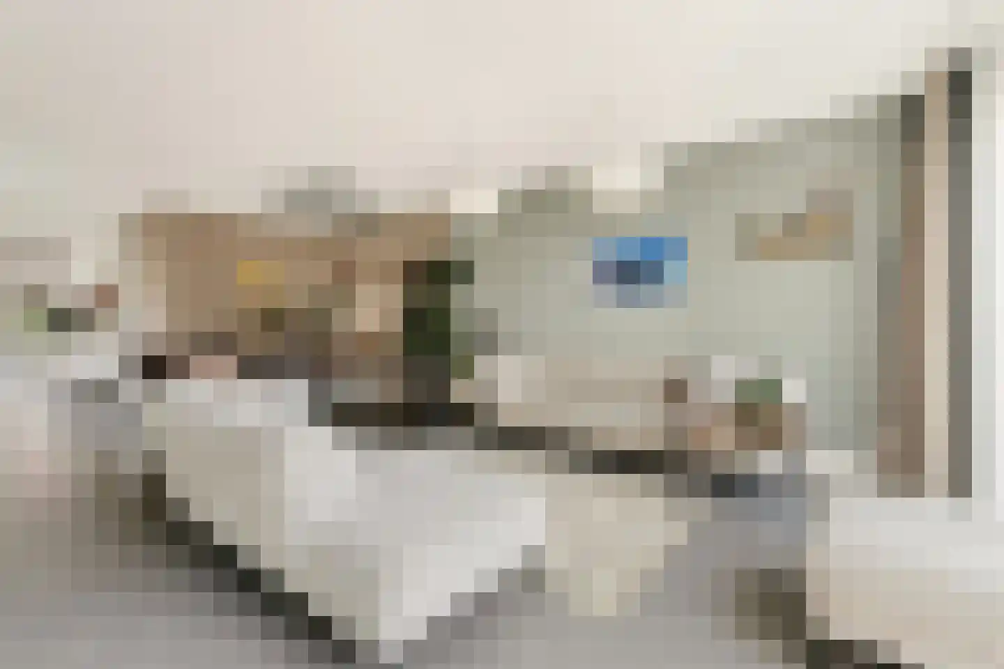 Brederodepeer 16 Boskoop thumbnail 31