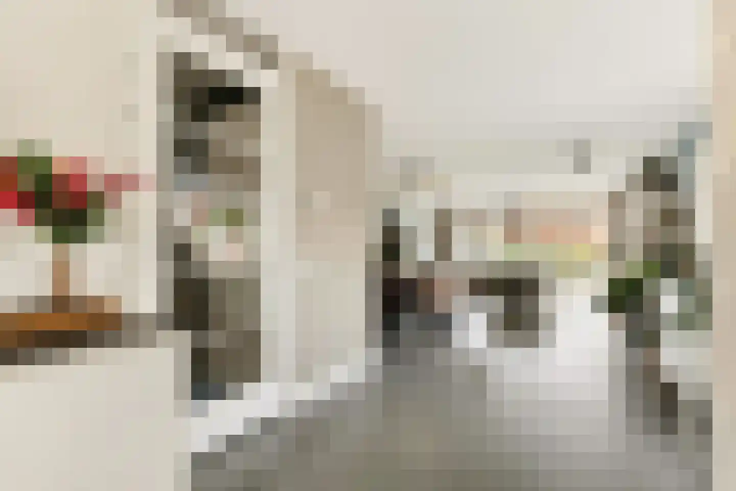 Brederodepeer 16 Boskoop thumbnail 32