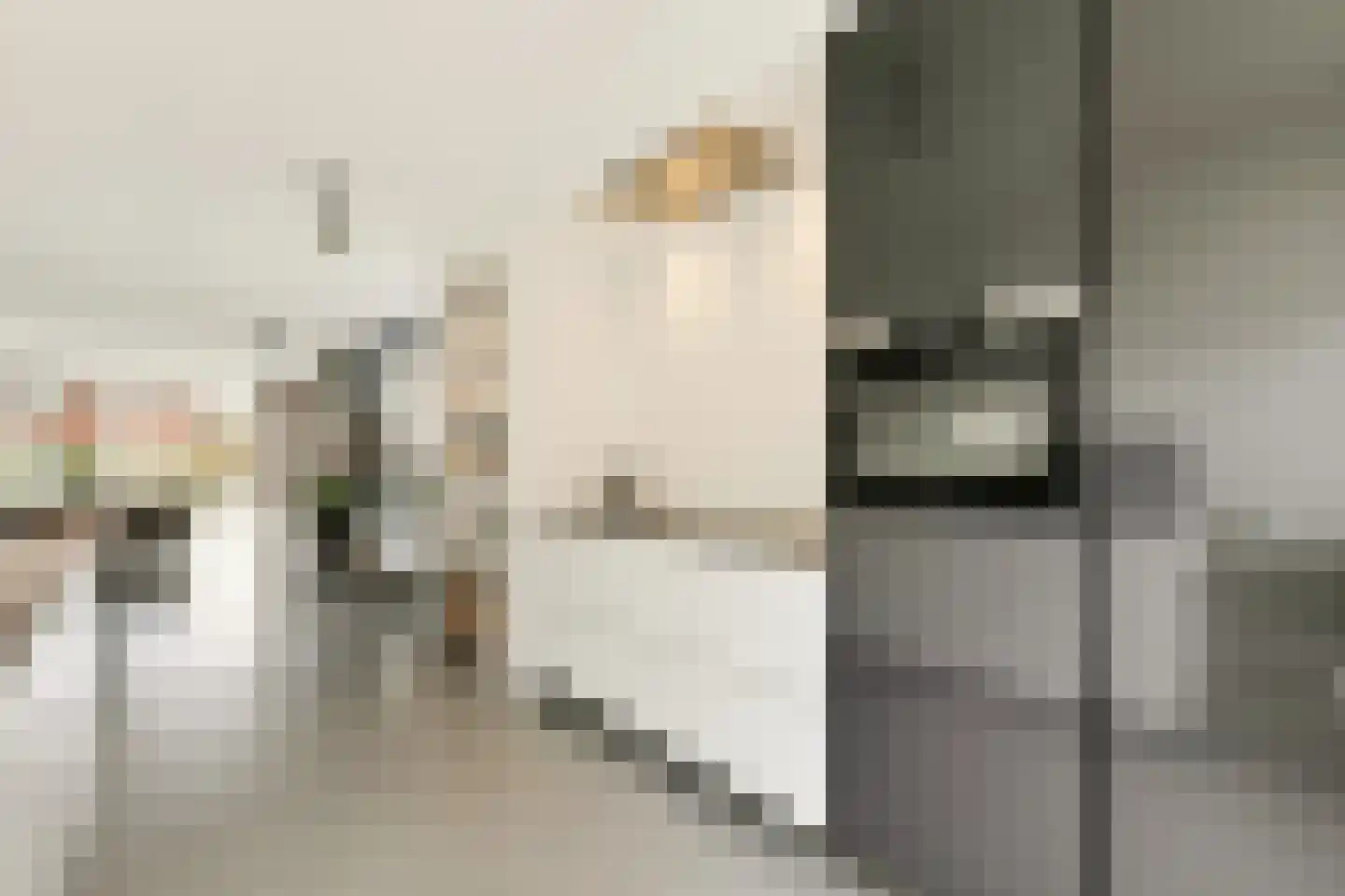Brederodepeer 16 Boskoop thumbnail 36