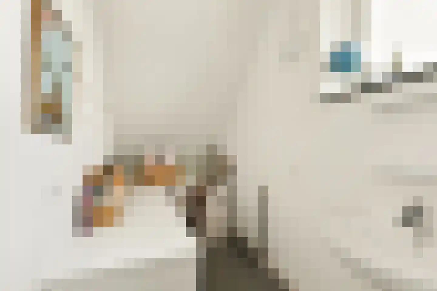 Brederodepeer 16 Boskoop thumbnail 37