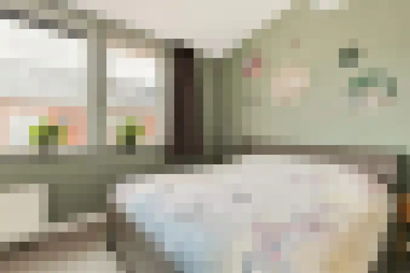 Brederodepeer 16 Boskoop thumbnail 38