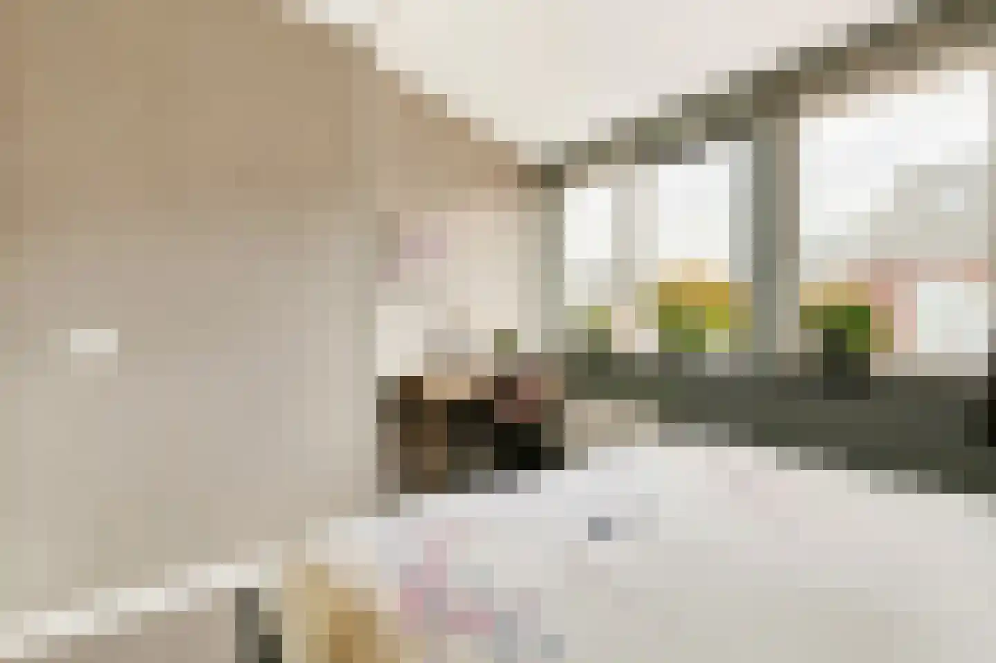 Brederodepeer 16 Boskoop thumbnail 39