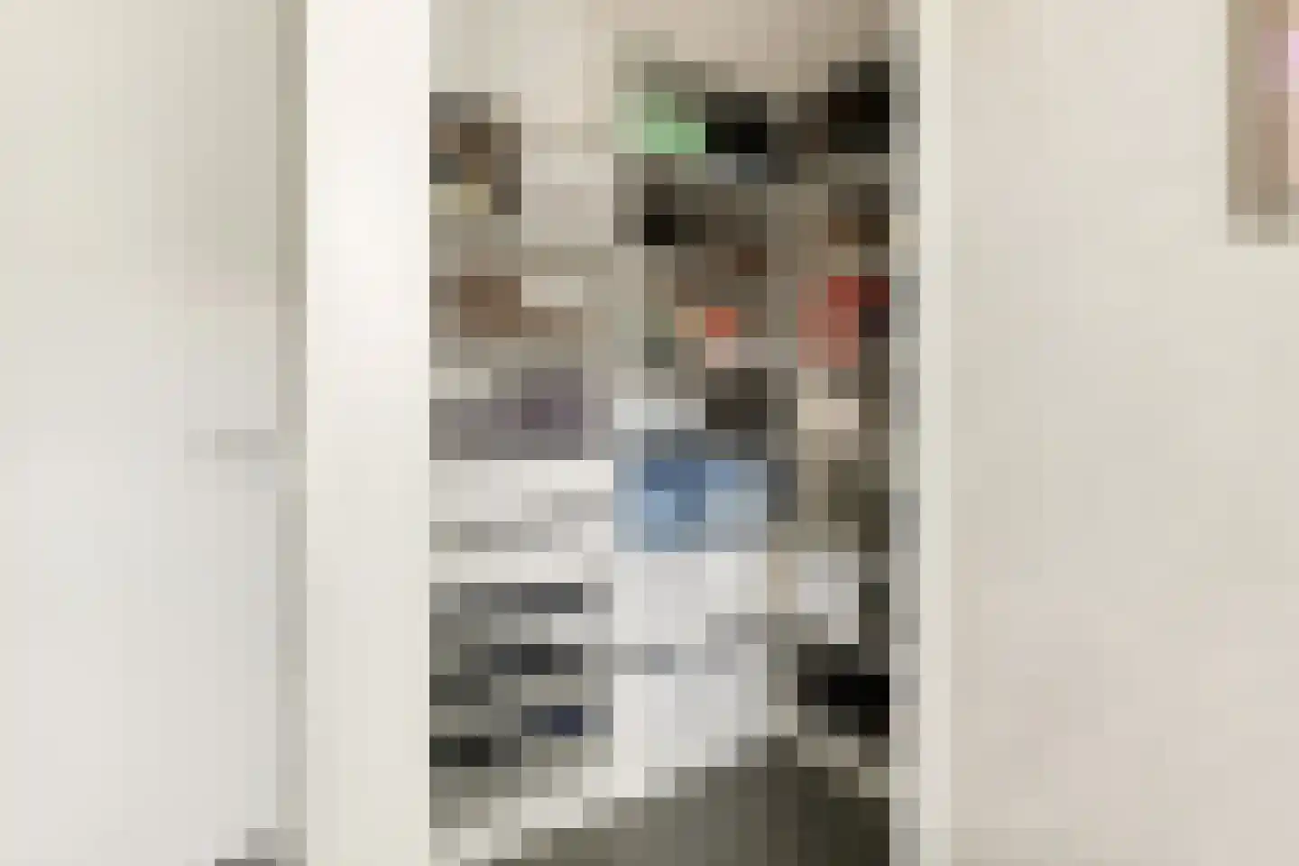 Brederodepeer 16 Boskoop thumbnail 42