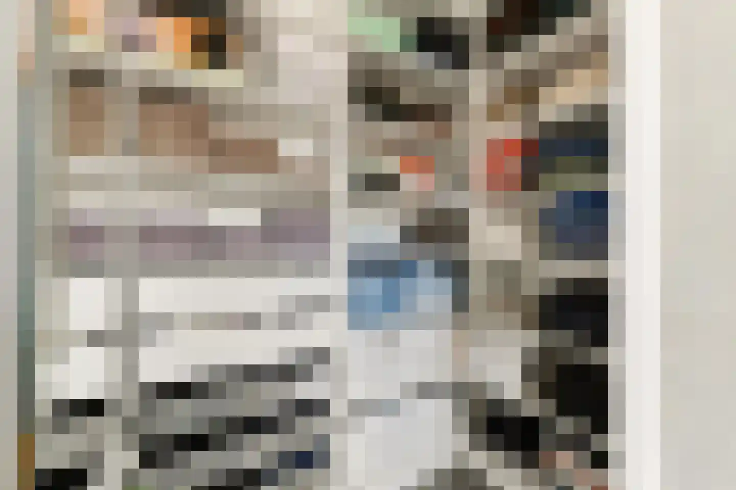 Brederodepeer 16 Boskoop thumbnail 43