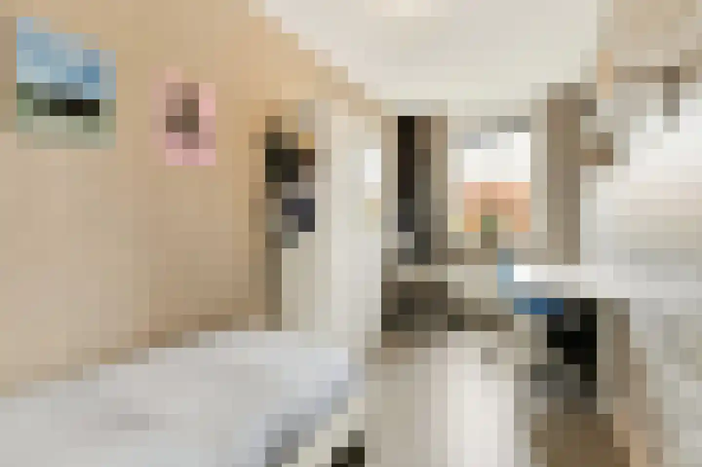 Brederodepeer 16 Boskoop thumbnail 44