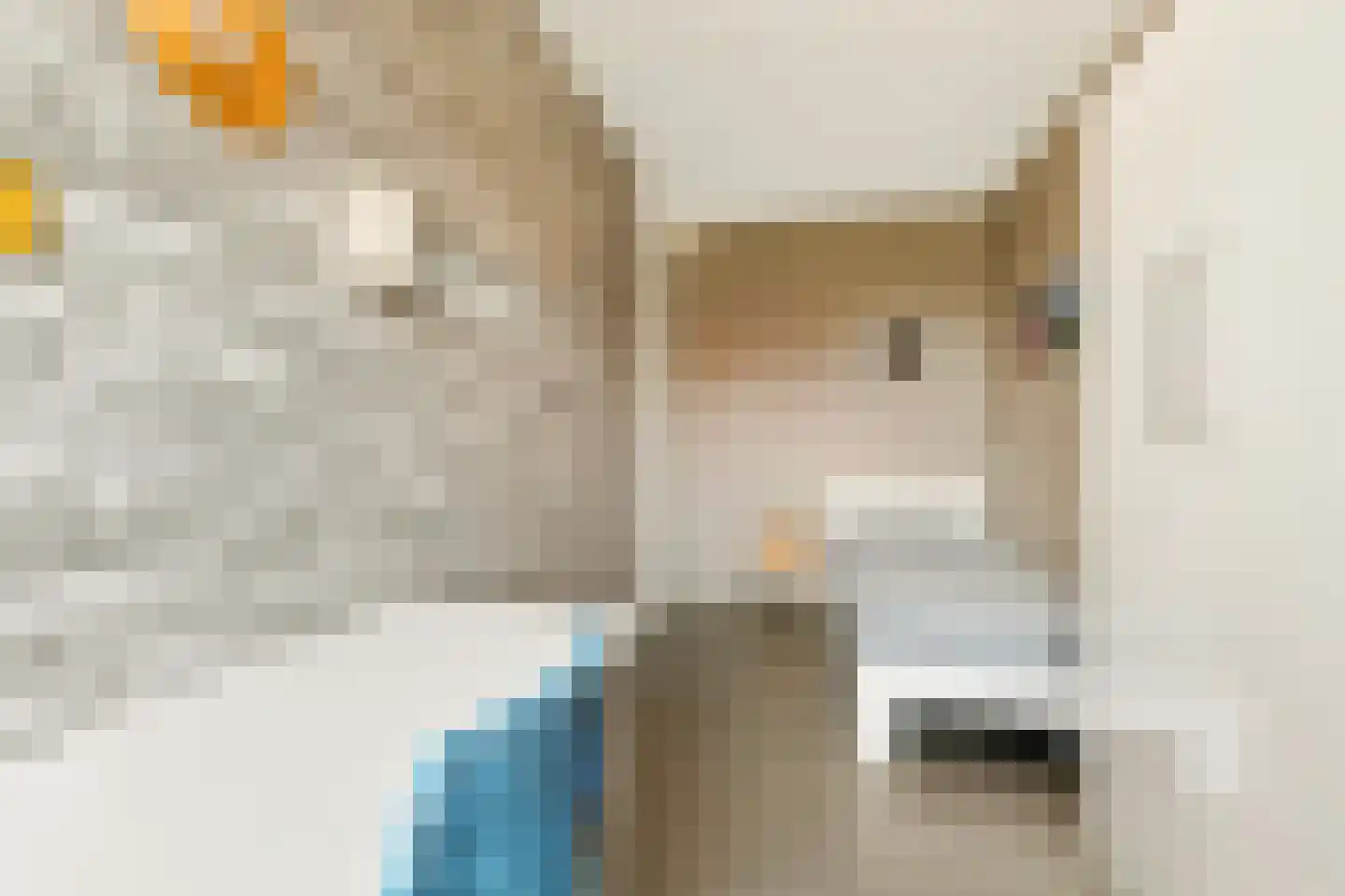 Brederodepeer 16 Boskoop thumbnail 45