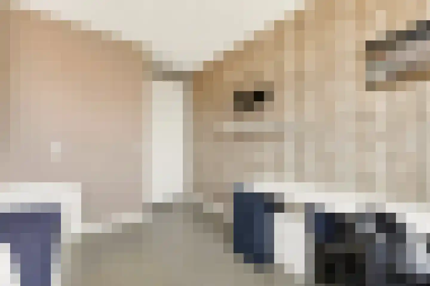 Brederodepeer 16 Boskoop thumbnail 47