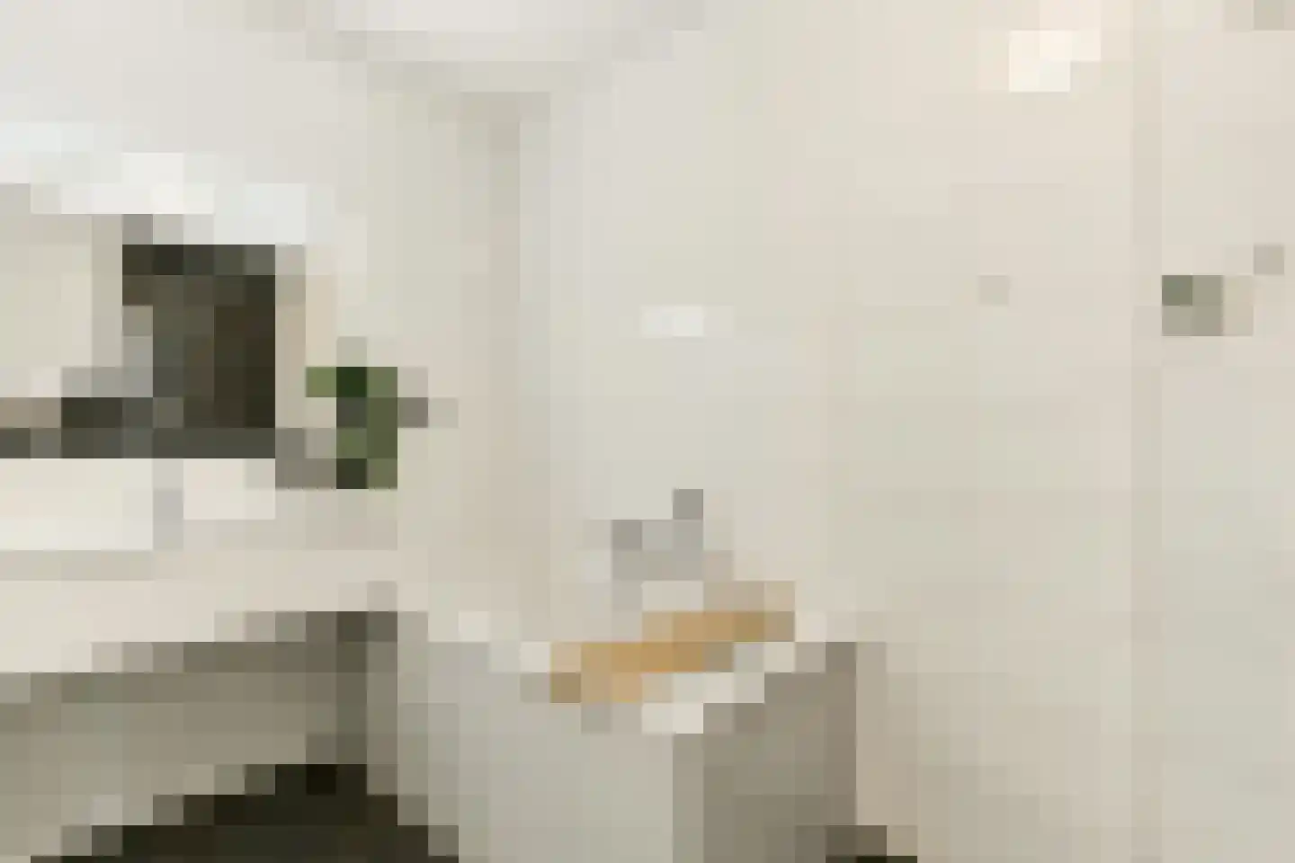 Brederodepeer 16 Boskoop thumbnail 48