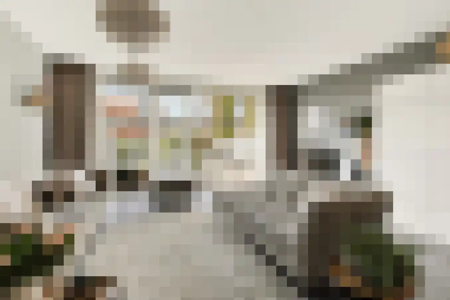 Brederodepeer 16 Boskoop thumbnail 5