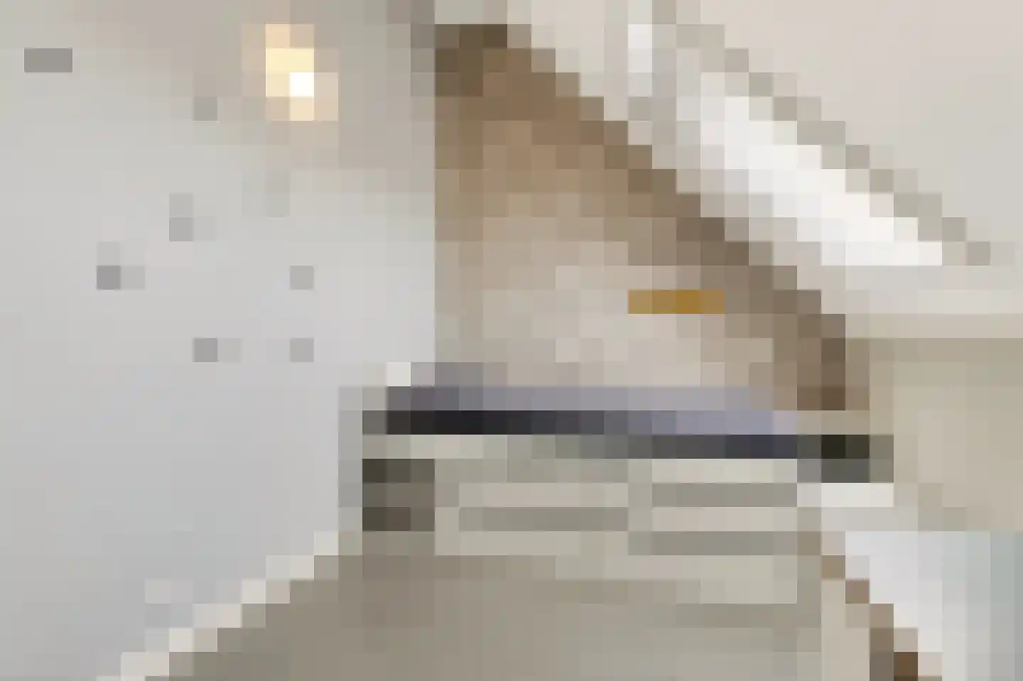 Brederodepeer 16 Boskoop thumbnail 55