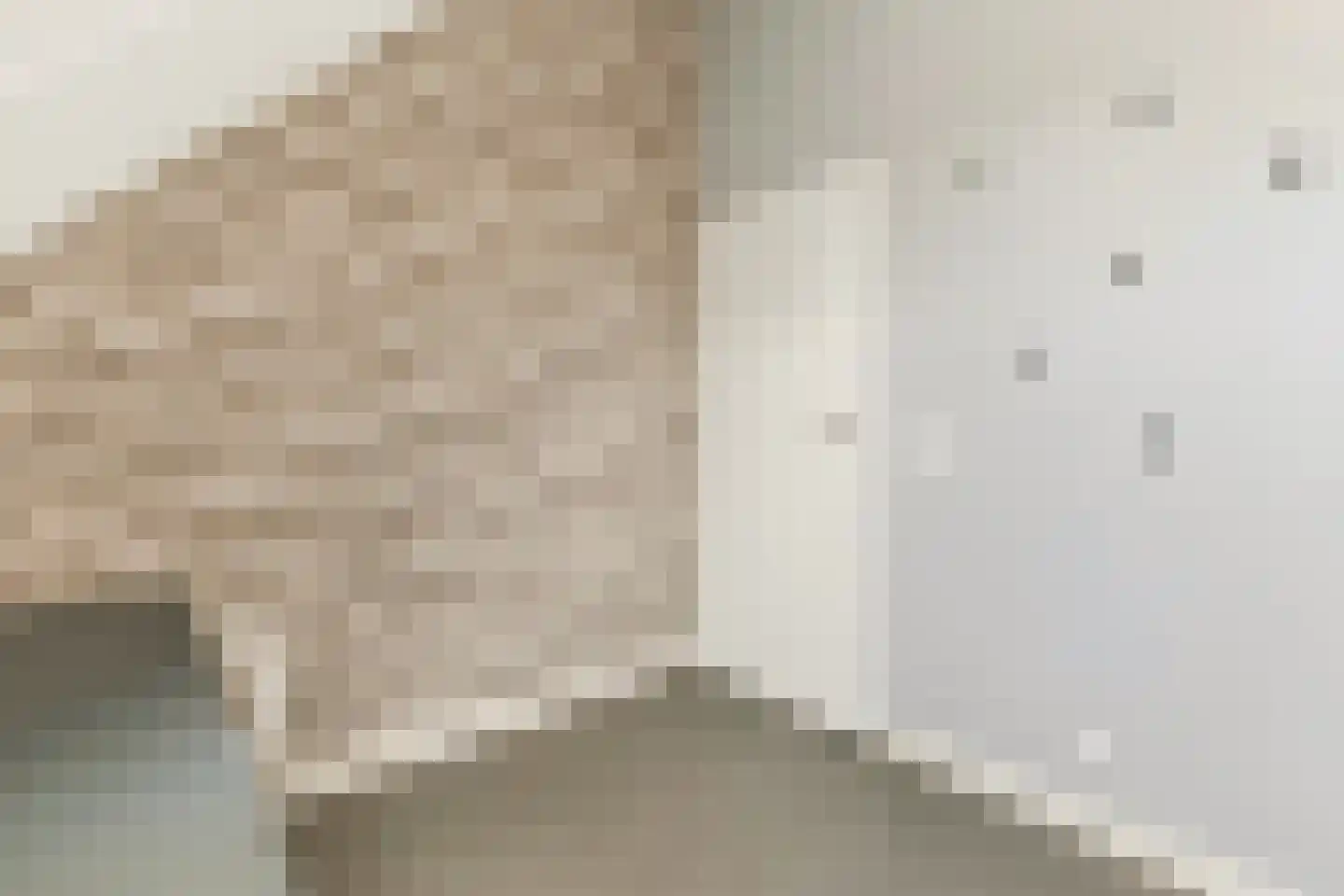 Brederodepeer 16 Boskoop thumbnail 57