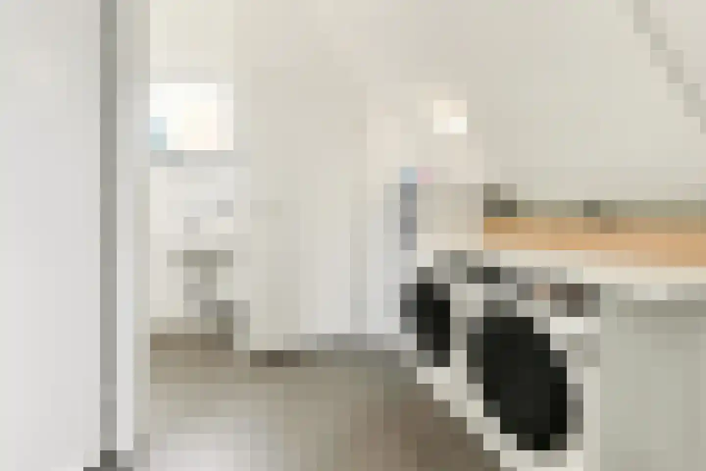 Brederodepeer 16 Boskoop thumbnail 58