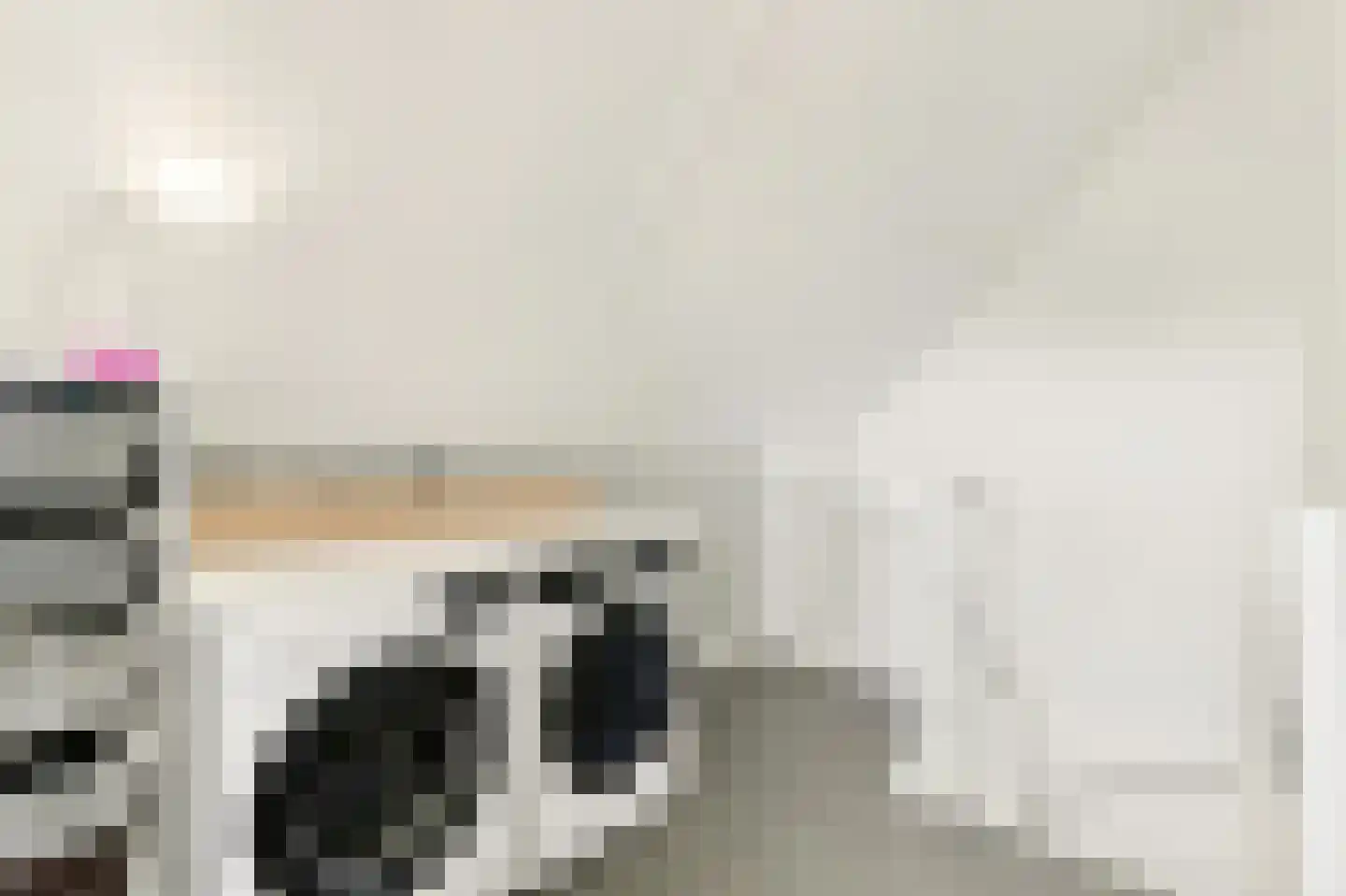 Brederodepeer 16 Boskoop thumbnail 59