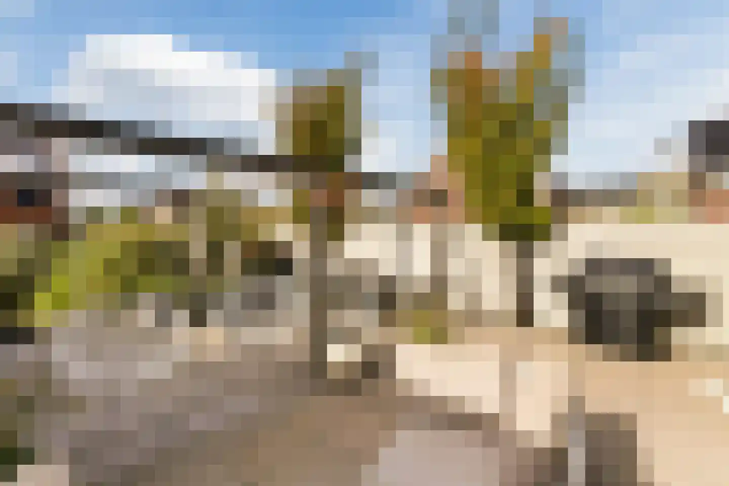 Brederodepeer 16 Boskoop thumbnail 61
