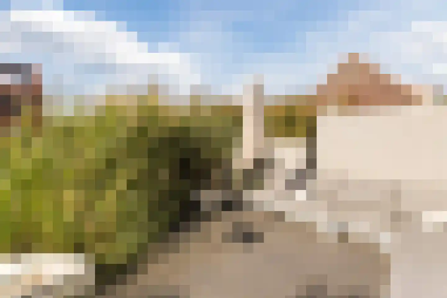 Brederodepeer 16 Boskoop thumbnail 63