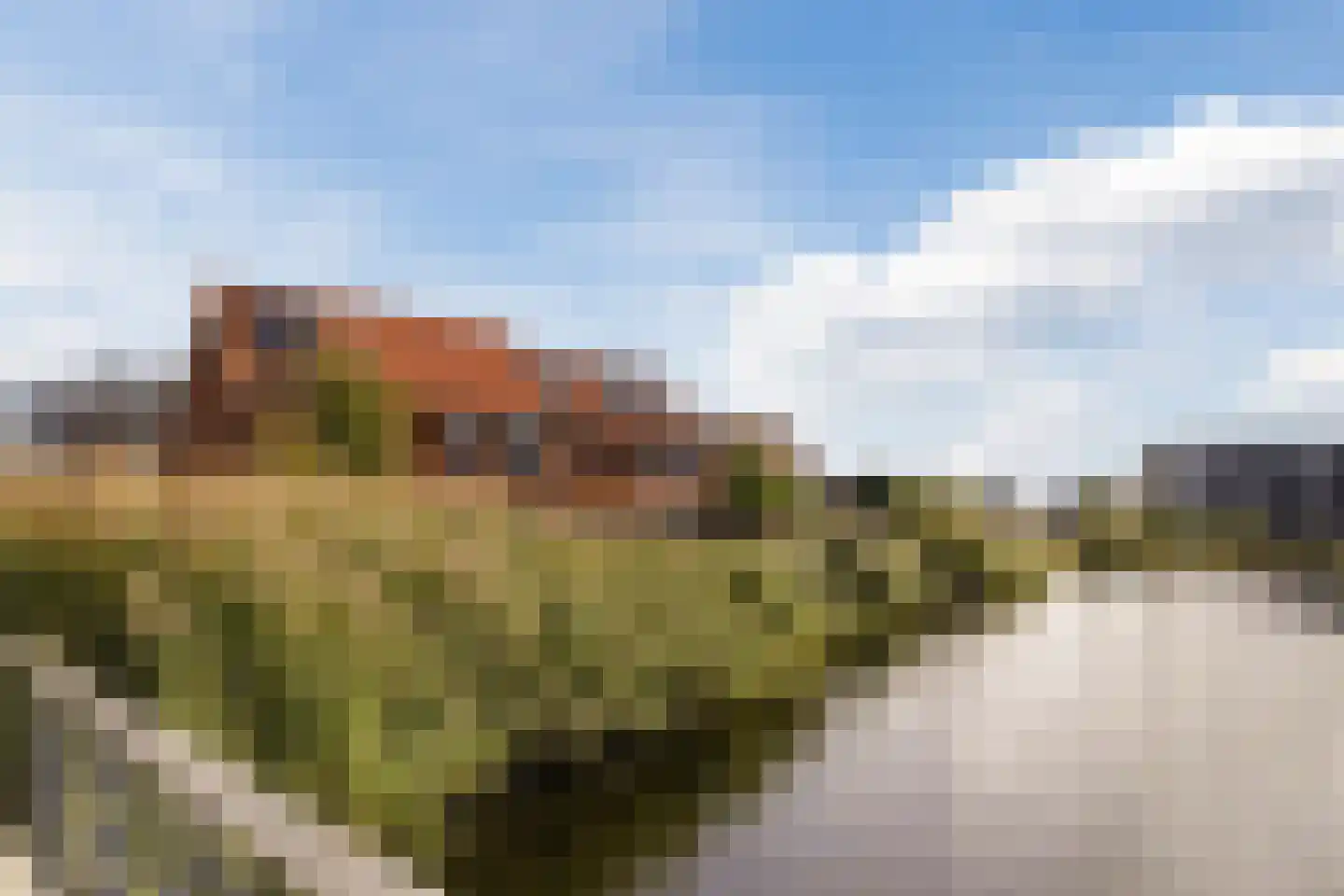 Brederodepeer 16 Boskoop thumbnail 70