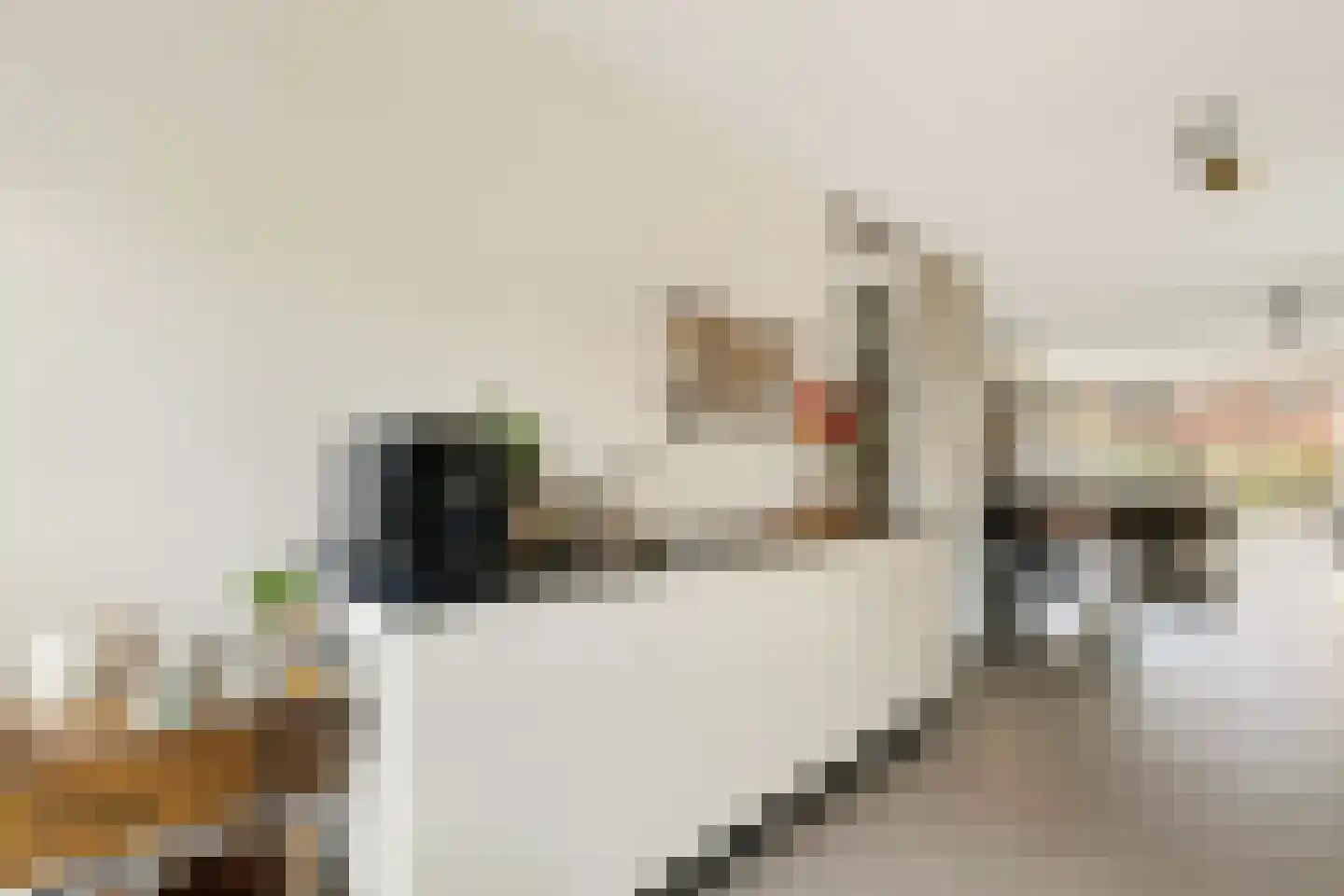 Brederodepeer 16 Boskoop thumbnail 8