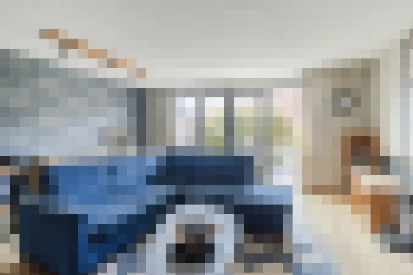Brederodepeer 50 Boskoop thumbnail 12