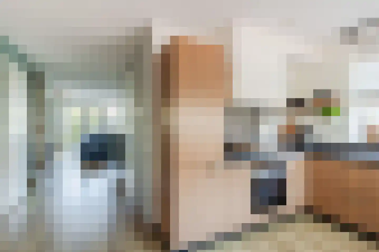 Brederodepeer 50 Boskoop thumbnail 15