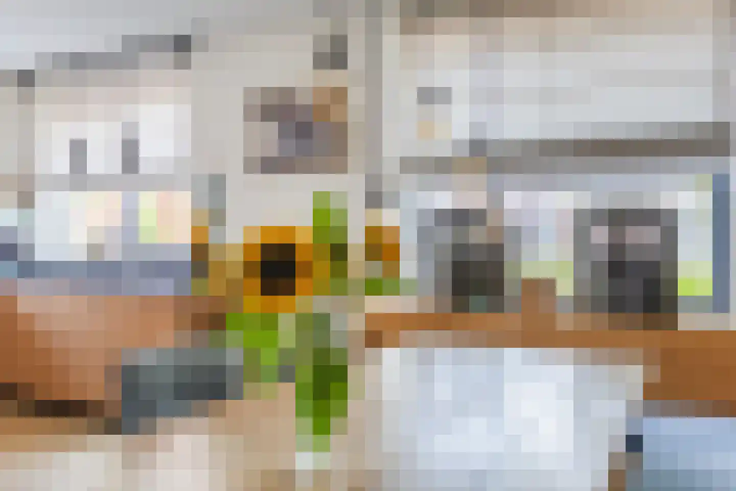 Brederodepeer 50 Boskoop thumbnail 17