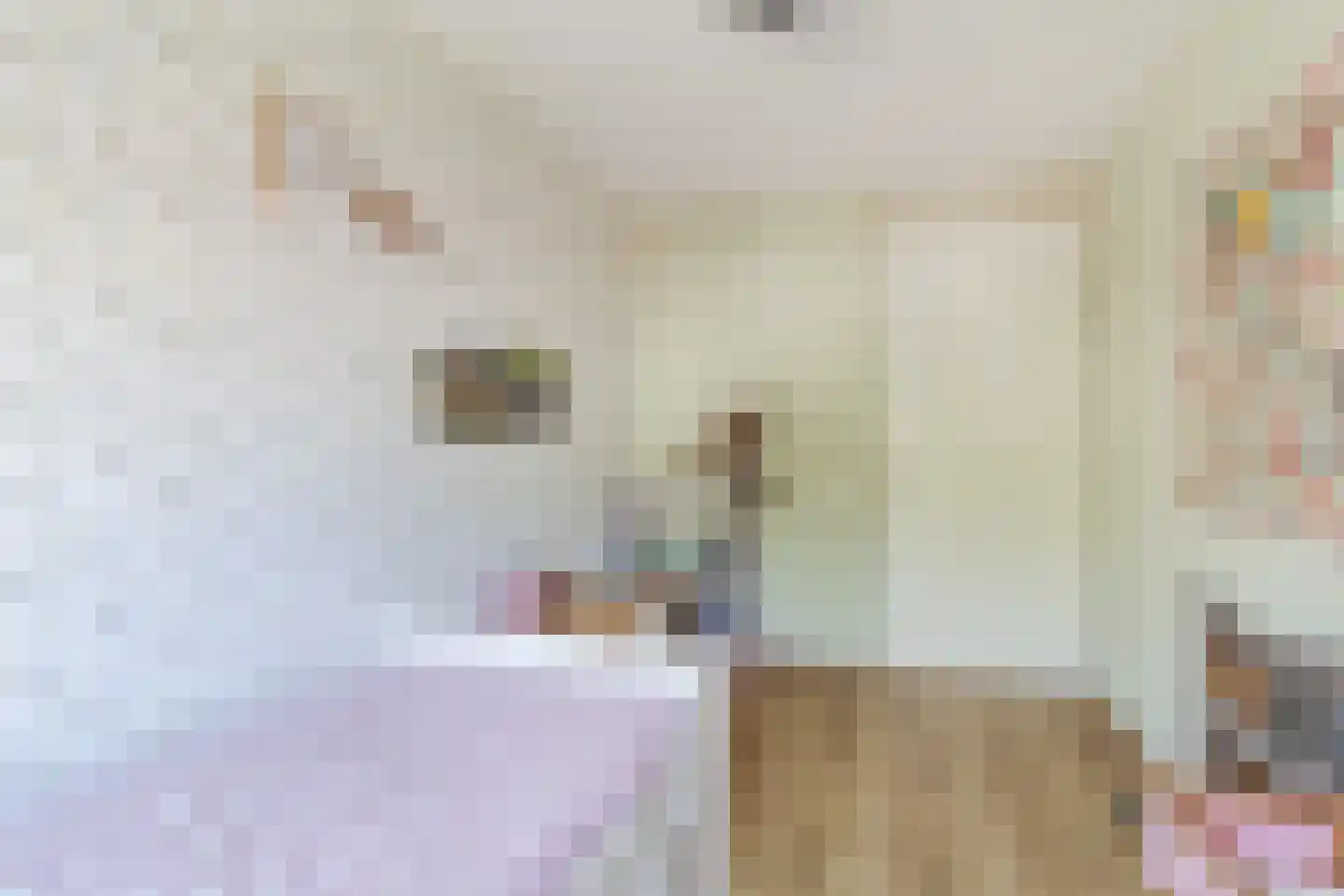Brederodepeer 50 Boskoop thumbnail 26
