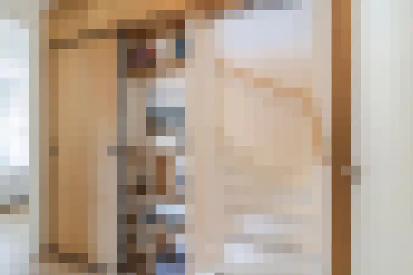 Brederodepeer 50 Boskoop thumbnail 31