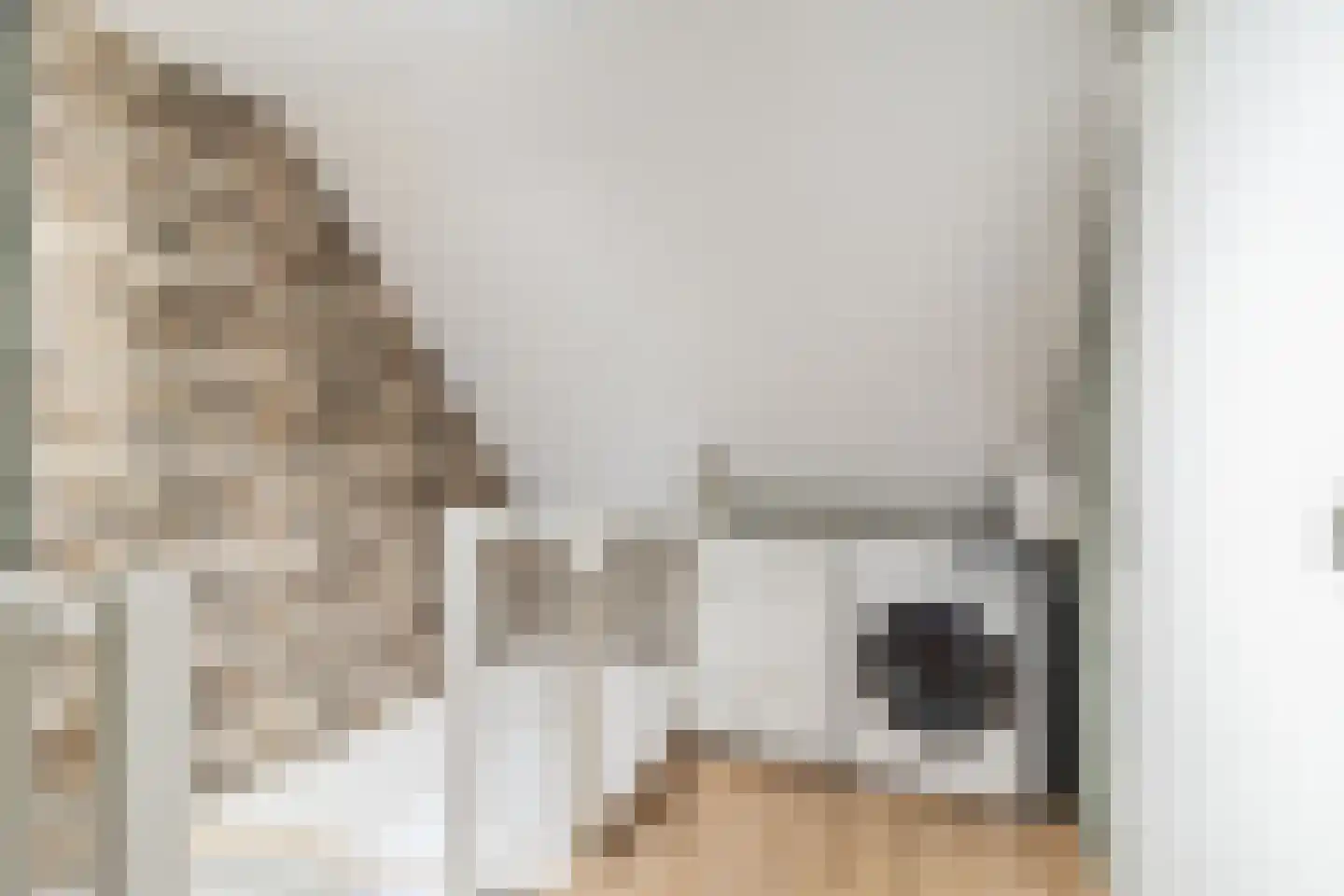 Brederodepeer 50 Boskoop thumbnail 37