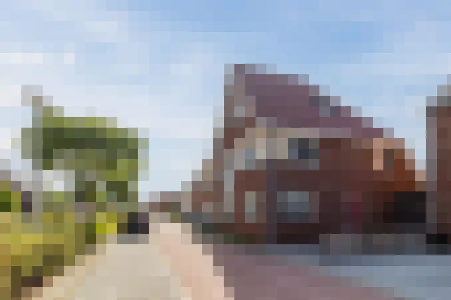 Brederodepeer 50 Boskoop thumbnail 4