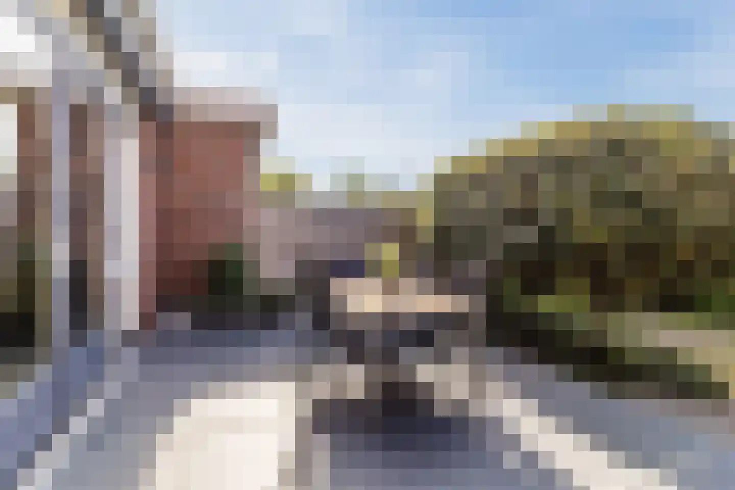 Brederodepeer 50 Boskoop thumbnail 40