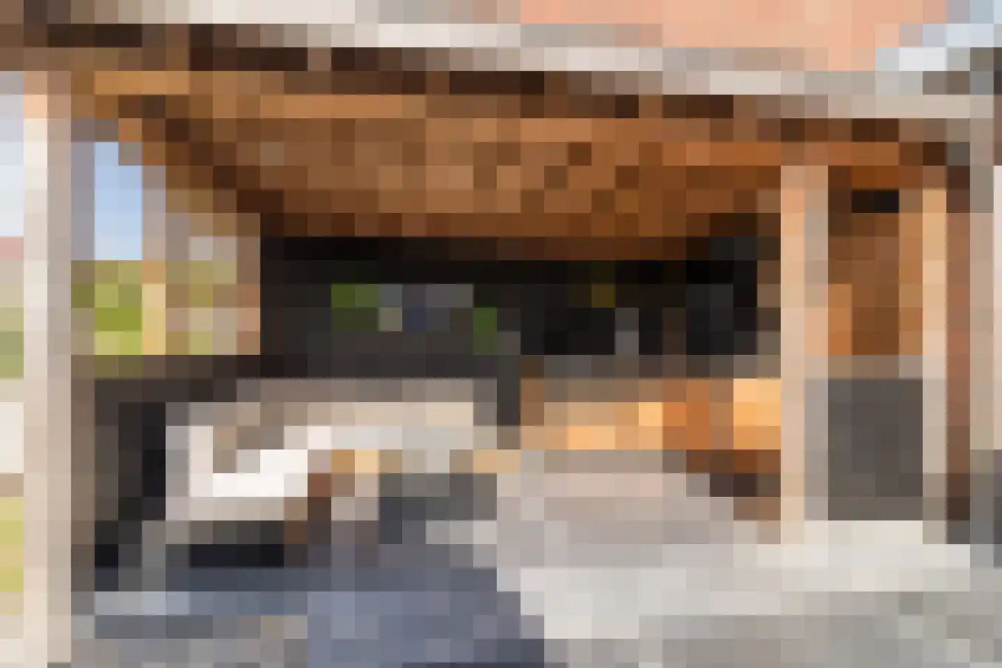 Brederodepeer 50 Boskoop thumbnail 41