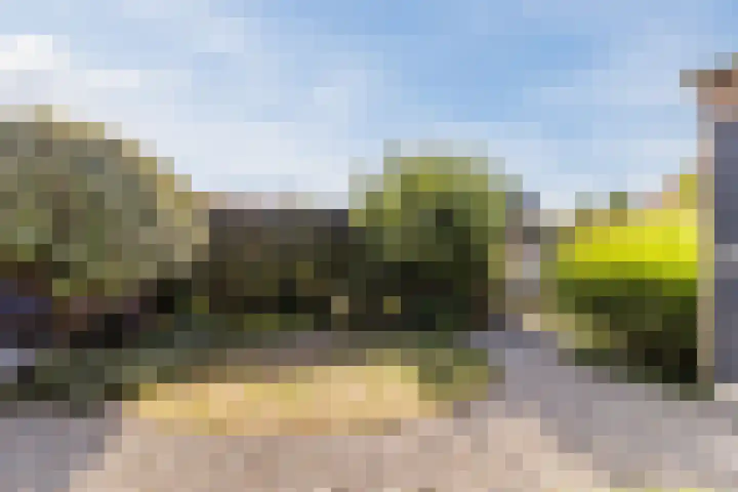 Brederodepeer 50 Boskoop thumbnail 43