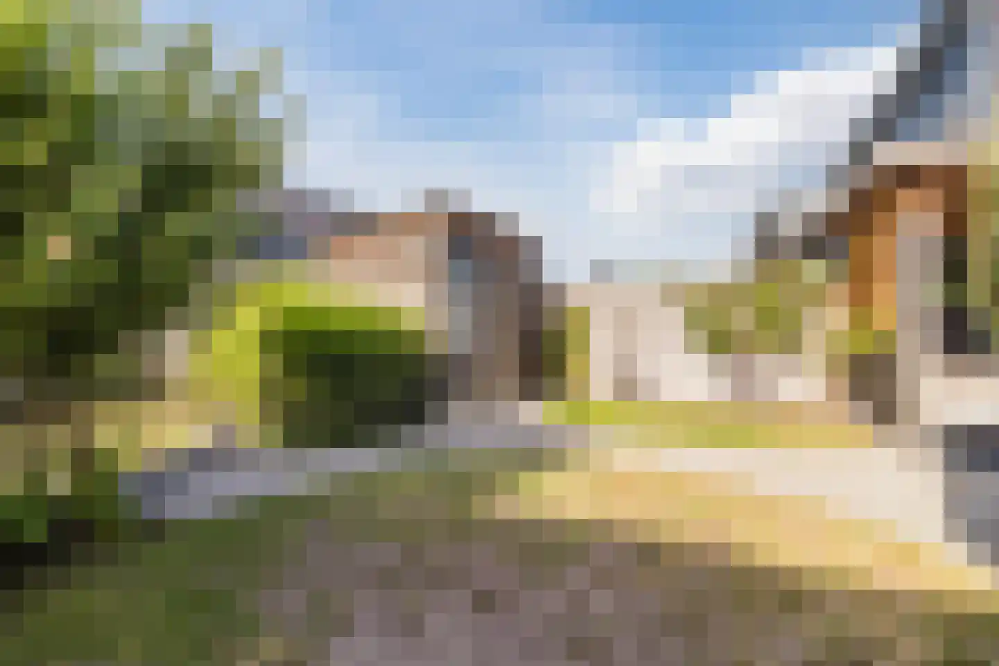 Brederodepeer 50 Boskoop thumbnail 44