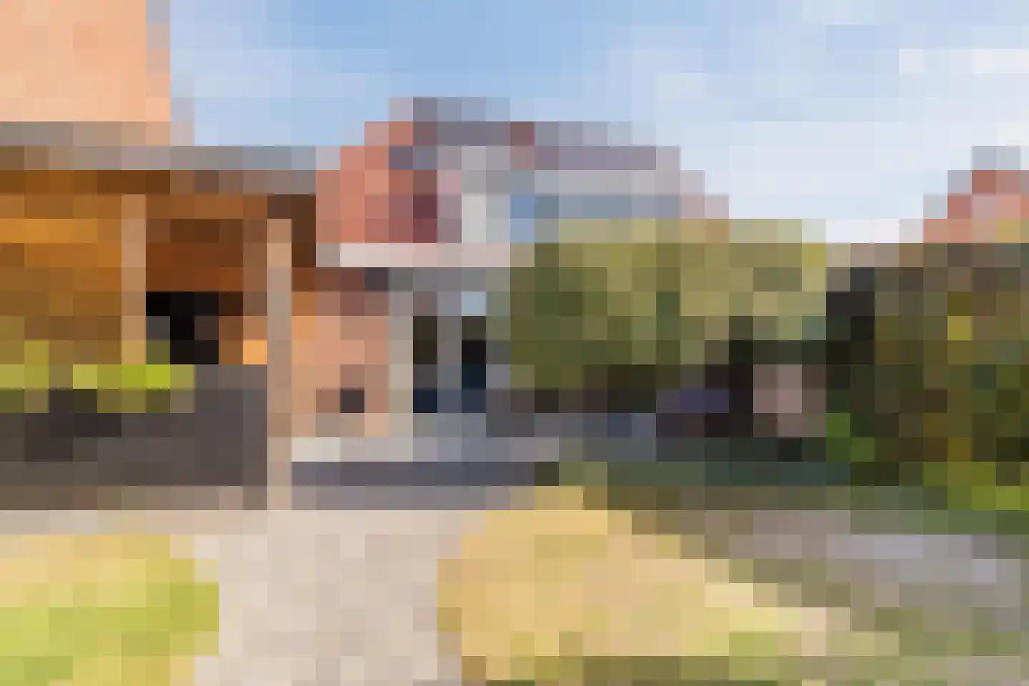 Brederodepeer 50 Boskoop thumbnail 45