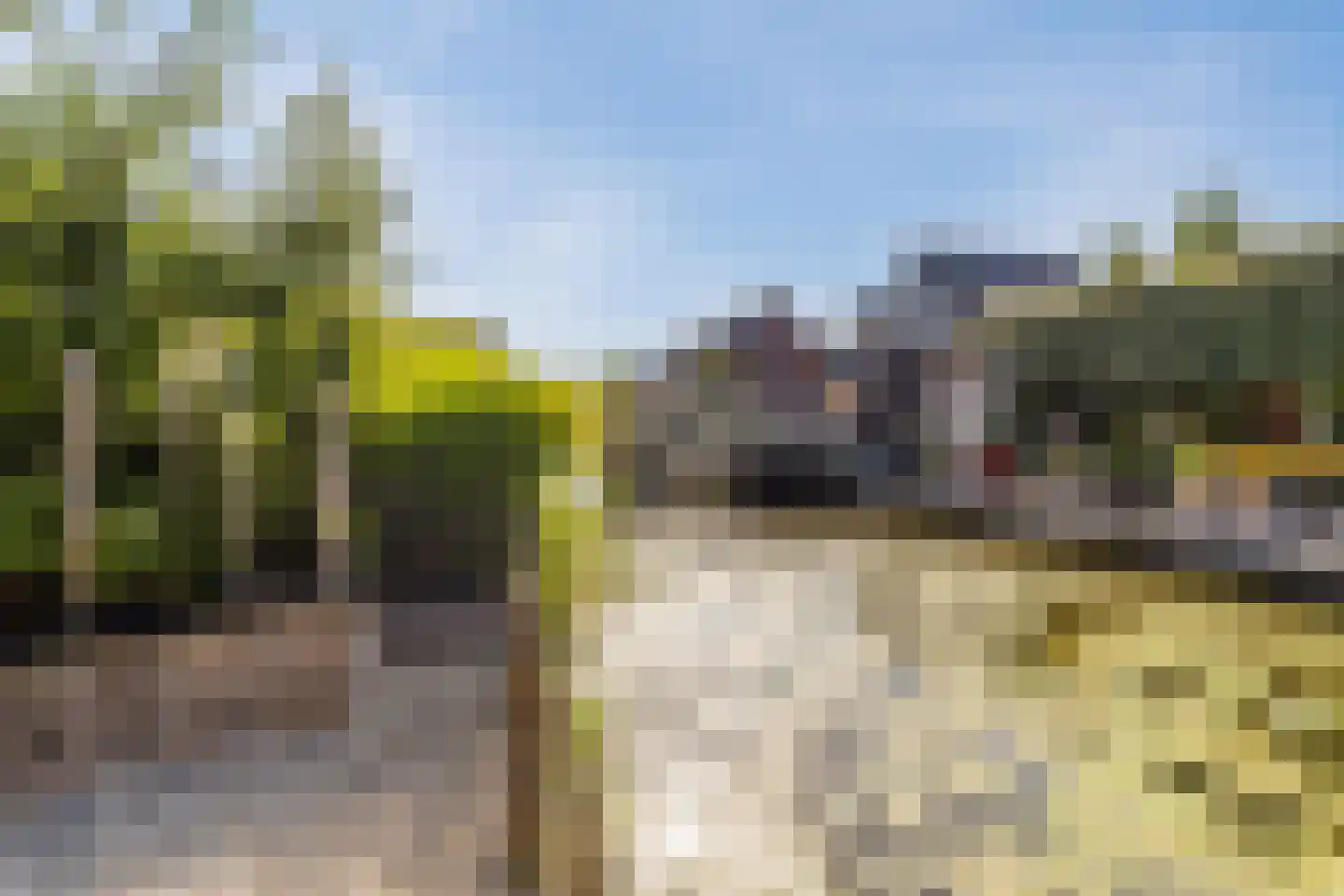 Brederodepeer 50 Boskoop thumbnail 47