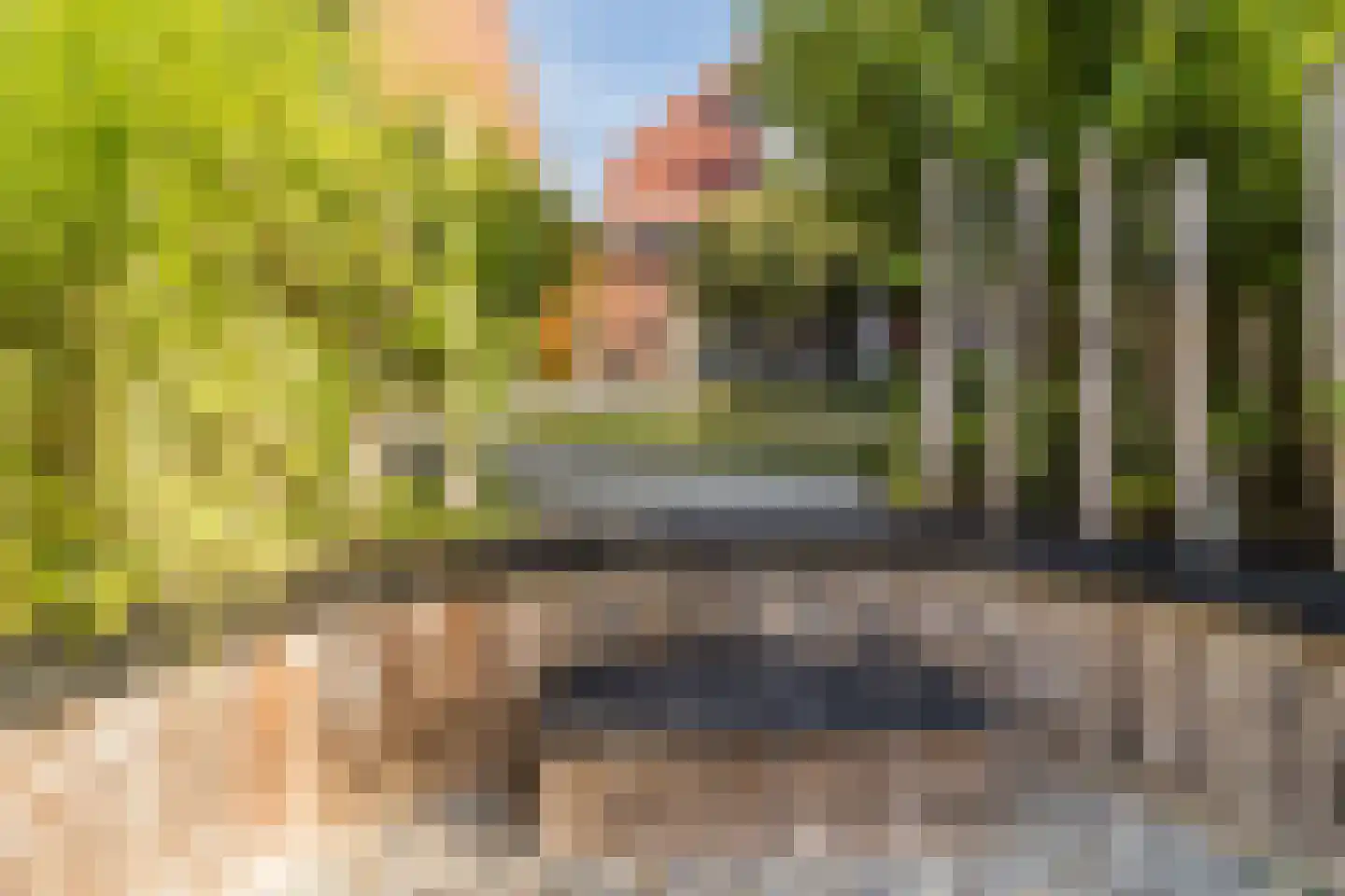 Brederodepeer 50 Boskoop thumbnail 49